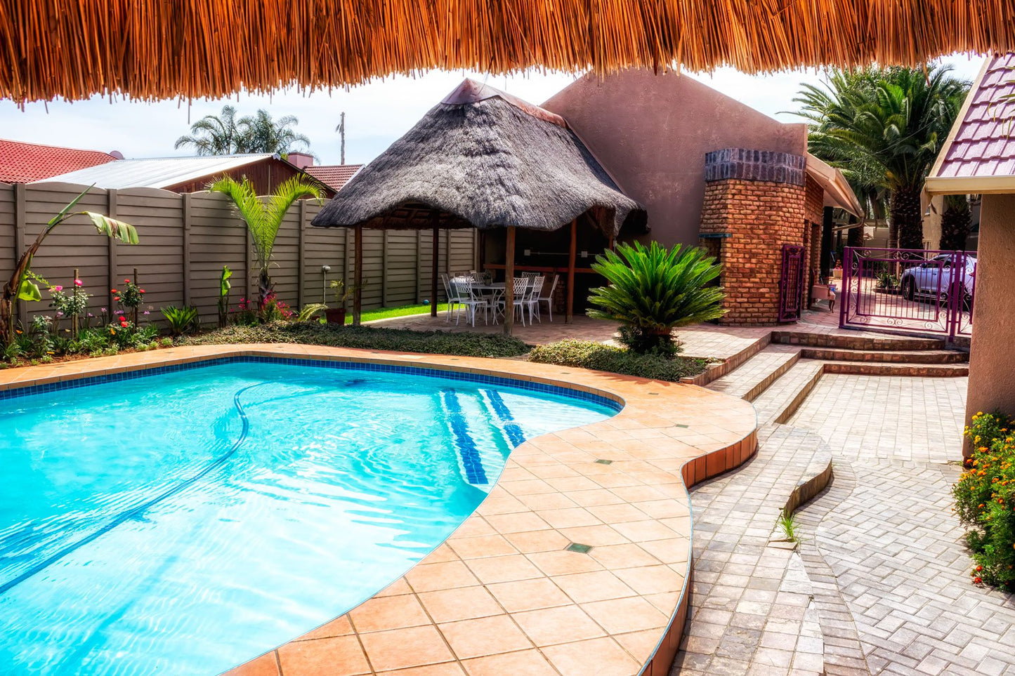 Savolonte Guest House Van Riebeeck Park Johannesburg Gauteng South Africa Complementary Colors, Palm Tree, Plant, Nature, Wood, Swimming Pool