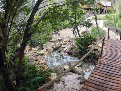 Scalarhoney Lodge Tsitsikamma Eastern Cape South Africa River, Nature, Waters, Waterfall