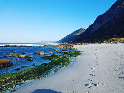 Beach Studio Scarborough Scarborough Cape Town Western Cape South Africa Beach, Nature, Sand