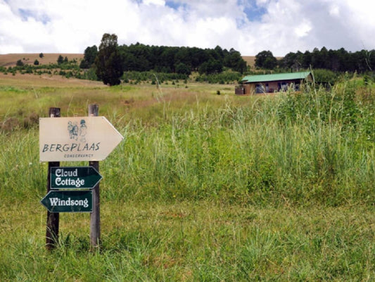 Schaefers Halt Dullstroom Mpumalanga South Africa Field, Nature, Agriculture