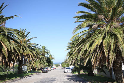 Schelde Apartment Central Jeffreys Bay Jeffreys Bay Eastern Cape South Africa Complementary Colors, Beach, Nature, Sand, Palm Tree, Plant, Wood, Street