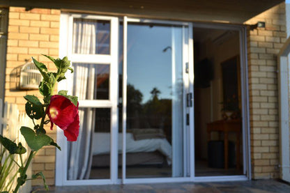 Schnehage Self Catering Fichardt Park Bloemfontein Free State South Africa Rose, Flower, Plant, Nature