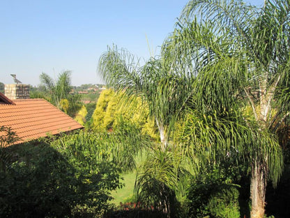 Schneider S Boutique Hotel Guesthouse White River Mpumalanga South Africa Complementary Colors, Palm Tree, Plant, Nature, Wood, Garden