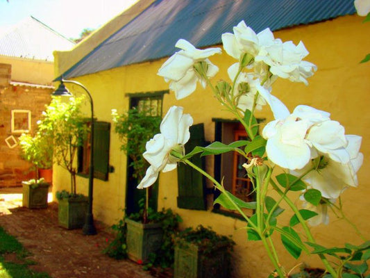 Schoemans Cottage Schoemans Huisie Graaff Reinet Eastern Cape South Africa House, Building, Architecture, Plant, Nature