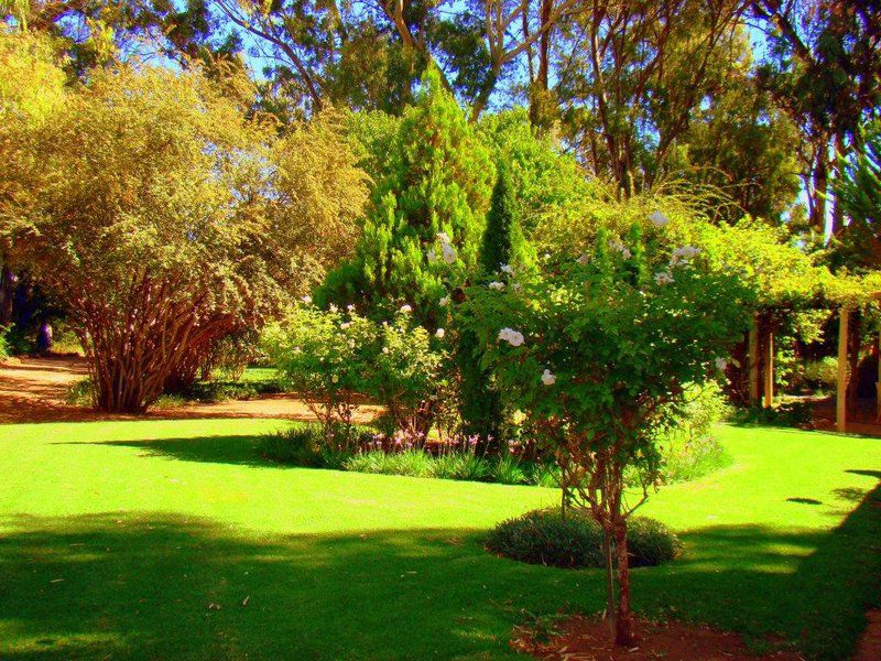 Schoemans Cottage Schoemans Huisie Graaff Reinet Eastern Cape South Africa Colorful, Plant, Nature, Tree, Wood, Garden