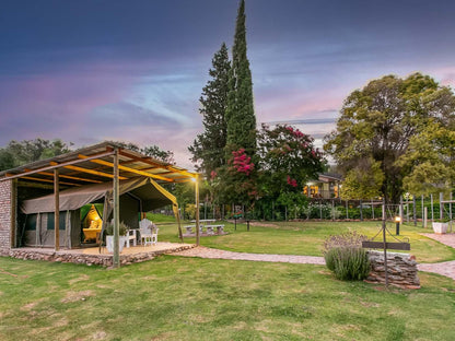 Schoemanshoek Glamping Oudtshoorn Western Cape South Africa Complementary Colors, Palm Tree, Plant, Nature, Wood, Pavilion, Architecture