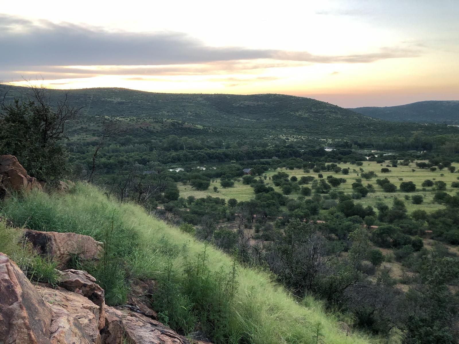 Schoemanshof Schoemansdrift Potchefstroom North West Province South Africa Forest, Nature, Plant, Tree, Wood