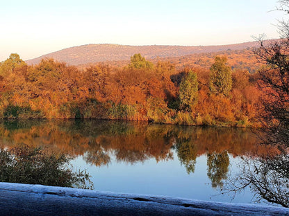 Schoemanshof Schoemansdrift Potchefstroom North West Province South Africa Complementary Colors, River, Nature, Waters, Tree, Plant, Wood, Autumn