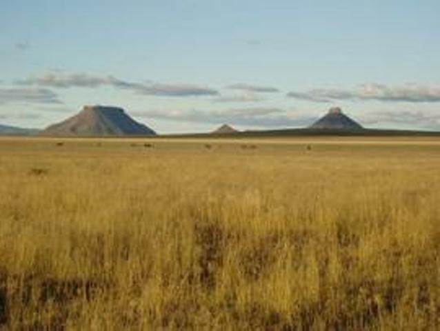 Schoombee Karoo Accommodation Middelburg Eastern Cape Eastern Cape South Africa Desert, Nature, Sand, Lowland