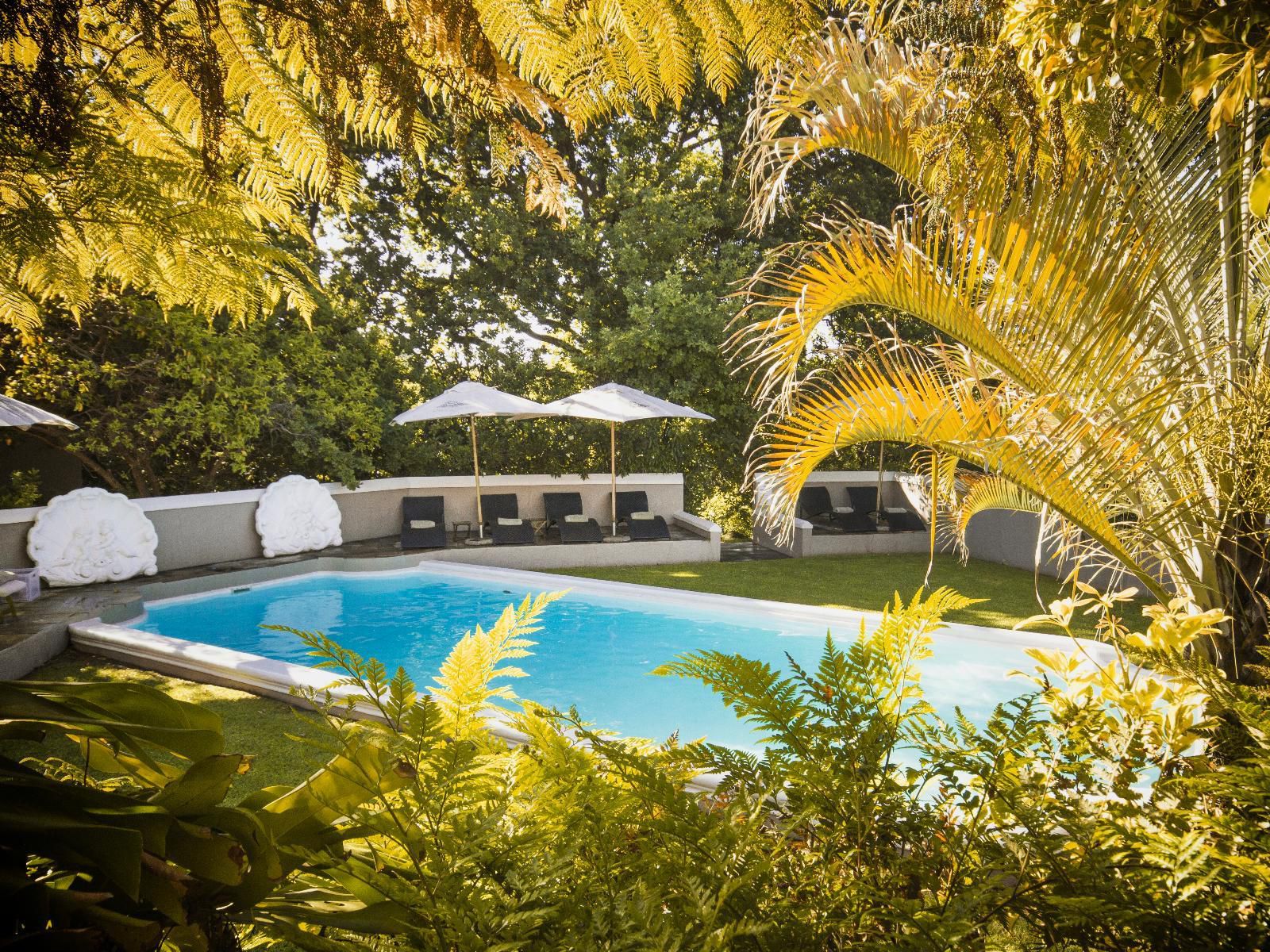 Schoone Oordt Country House Swellendam Western Cape South Africa Palm Tree, Plant, Nature, Wood, Garden, Swimming Pool