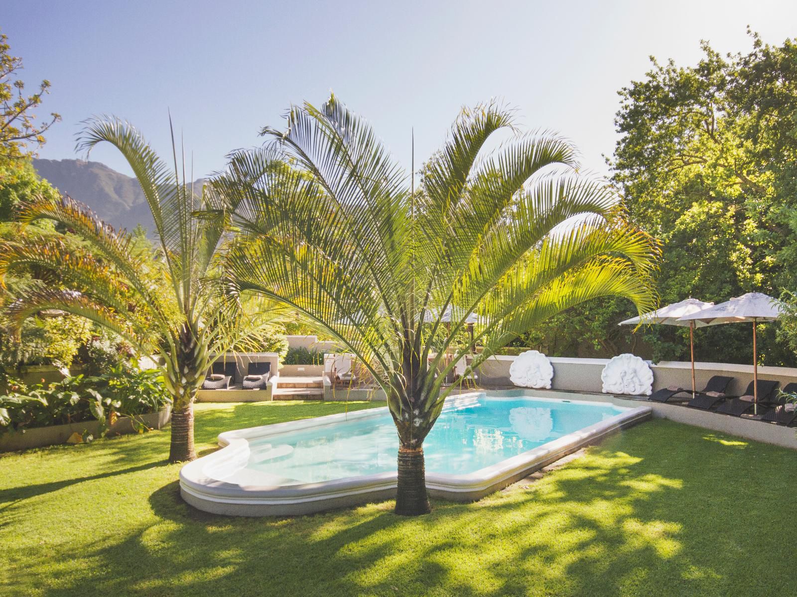 Schoone Oordt Country House Swellendam Western Cape South Africa Palm Tree, Plant, Nature, Wood, Garden, Swimming Pool