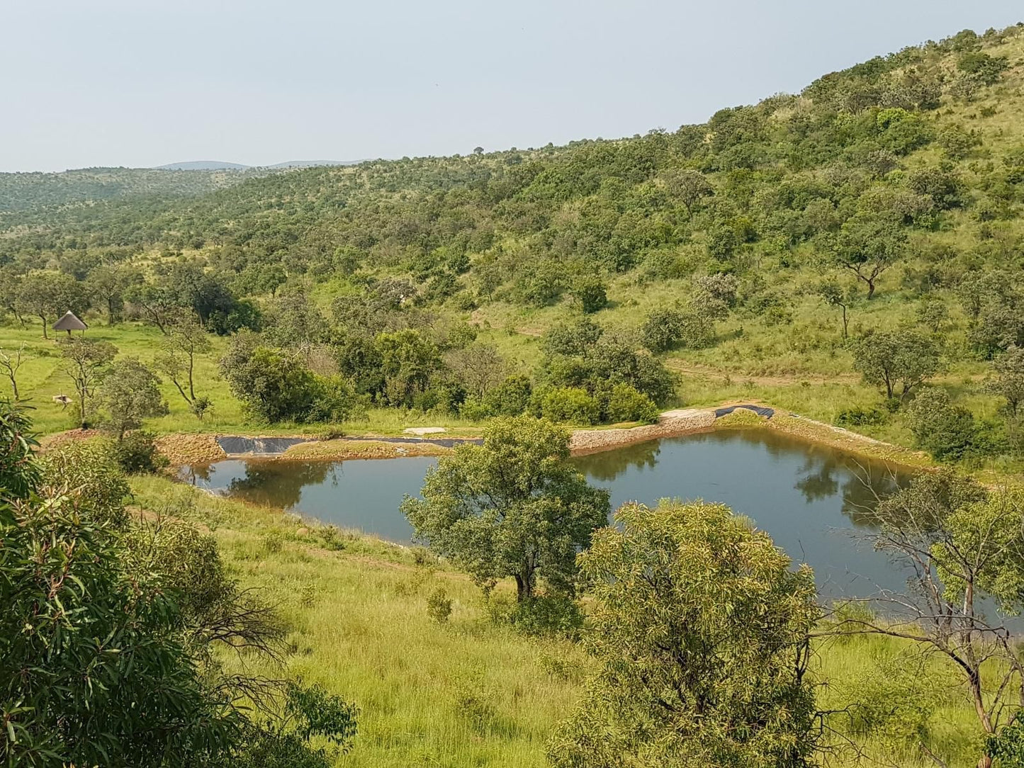 Schrikkloof Private Nature Reserve, River, Nature, Waters, Tree, Plant, Wood