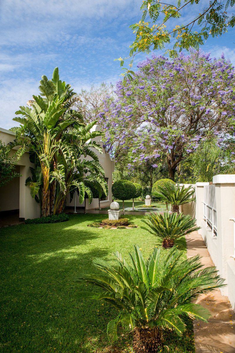 Schroderhuis Guest House Upington Northern Cape South Africa Complementary Colors, House, Building, Architecture, Palm Tree, Plant, Nature, Wood, Garden