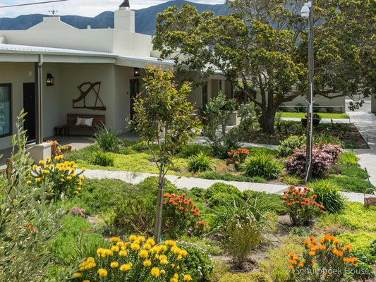 Schulphoek Seafront Guest House And Restaurant Sandbaai Hermanus Western Cape South Africa House, Building, Architecture, Plant, Nature, Garden