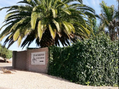 Scorpio Guest House Vredenburg Western Cape South Africa Palm Tree, Plant, Nature, Wood, Sign