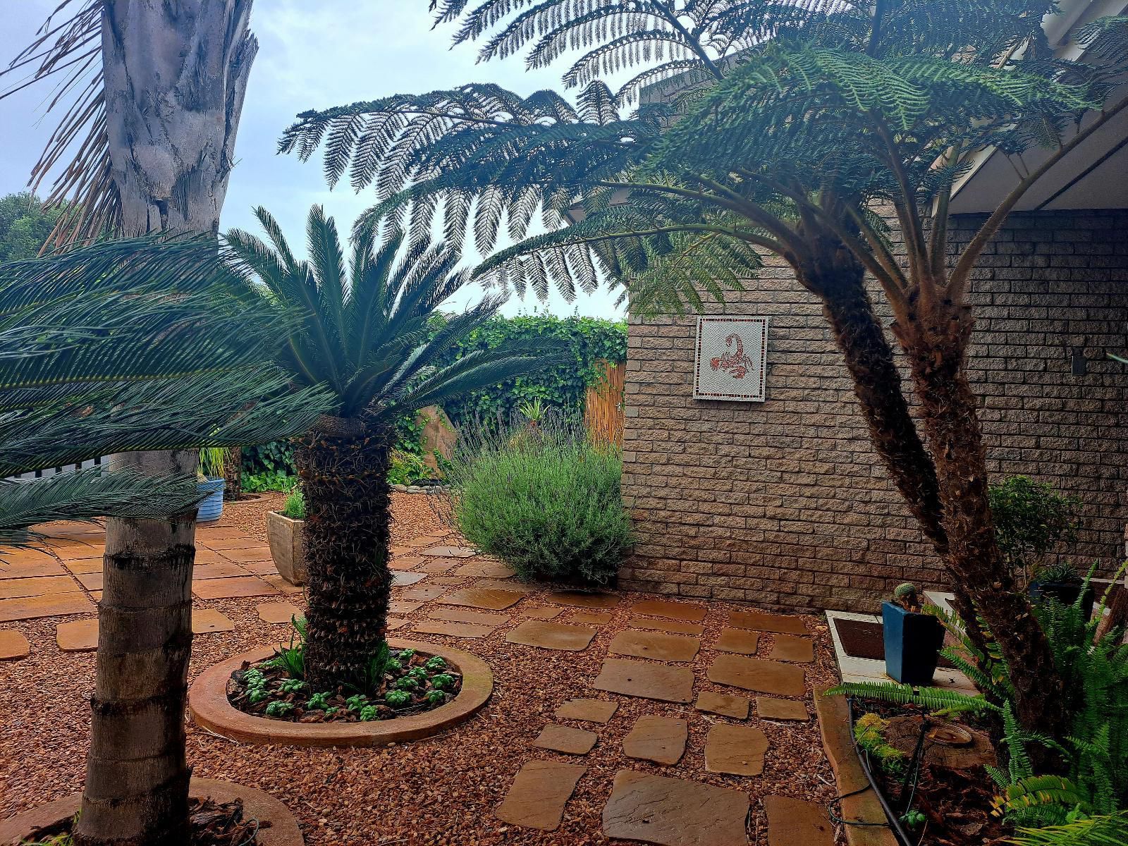 Scorpio Guest House Vredenburg Western Cape South Africa Palm Tree, Plant, Nature, Wood, Garden