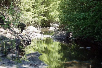 Scott Of Africa Swallow Krantz Tarkastad Eastern Cape South Africa Forest, Nature, Plant, Tree, Wood, River, Waters, Waterfall