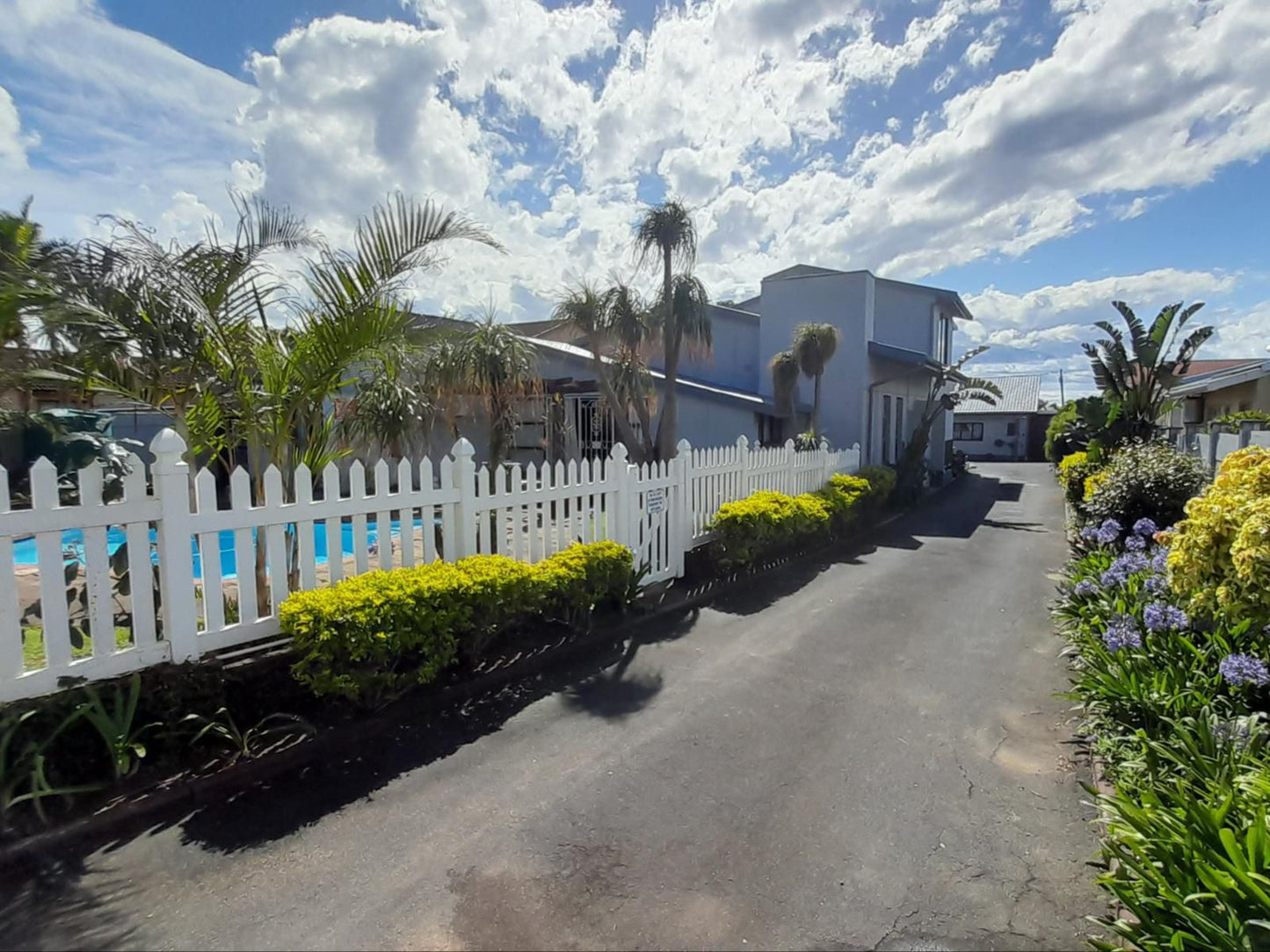 Sea Breeze Shelly Beach, House, Building, Architecture, Palm Tree, Plant, Nature, Wood