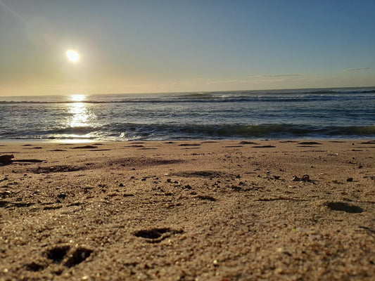 Sea Breeze Shelly Beach, Beach, Nature, Sand, Ocean, Waters, Sunset, Sky