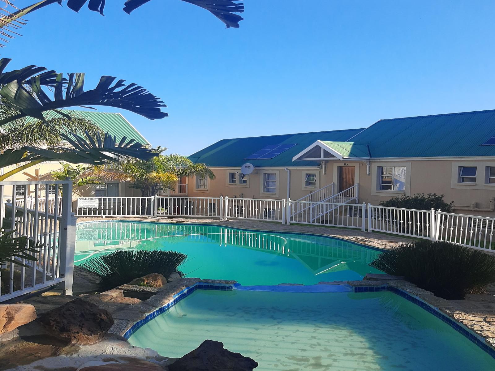 Sea Glimpse Holiday Resort Victoria Bay Western Cape South Africa Palm Tree, Plant, Nature, Wood, Swimming Pool