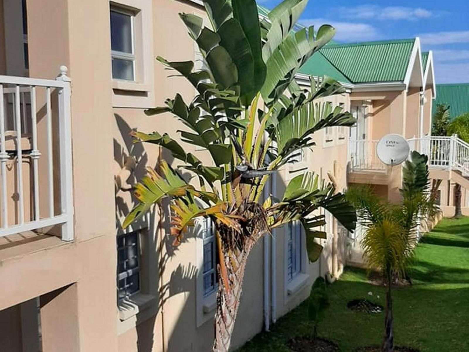 Sea Glimpse Holiday Resort Victoria Bay Western Cape South Africa Balcony, Architecture, House, Building, Palm Tree, Plant, Nature, Wood