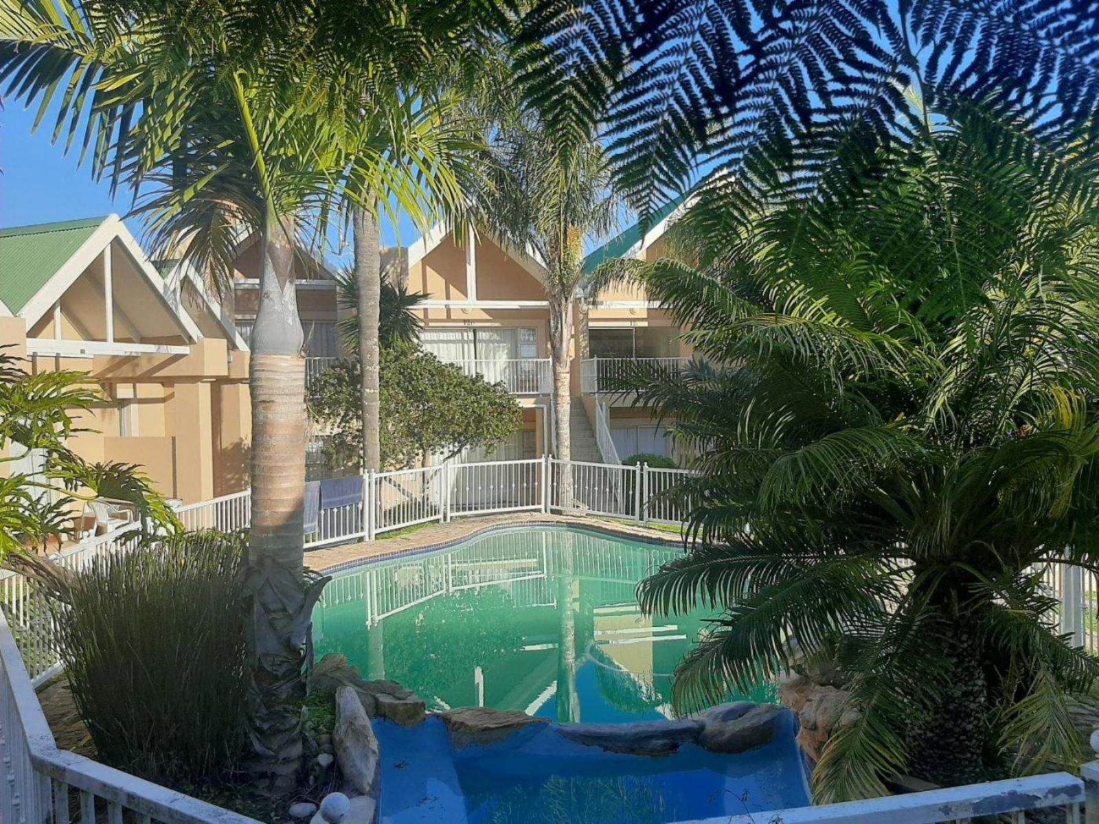 Sea Glimpse Holiday Resort Victoria Bay Western Cape South Africa Palm Tree, Plant, Nature, Wood, Swimming Pool