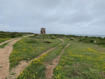 Sea La Vie Jacobsbaai, Beach, Nature, Sand