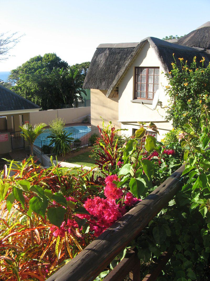 Sea Spray Margate Margate Beach Margate Kwazulu Natal South Africa House, Building, Architecture, Palm Tree, Plant, Nature, Wood, Garden