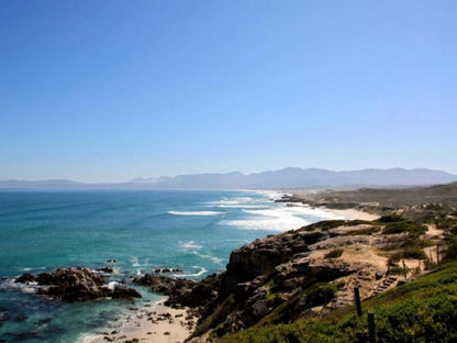 Sea Star Cliff, Beach, Nature, Sand