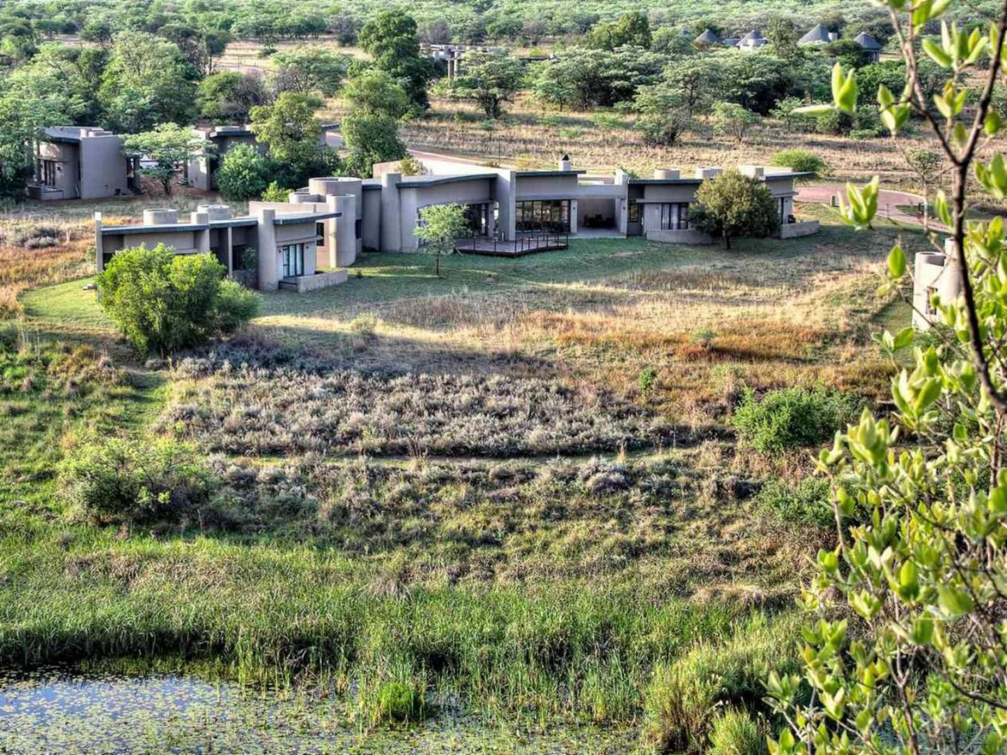 Sea Star Accommodation Legend Golf Safari Resort Entabeni Private Game Reserve Limpopo Province South Africa Field, Nature, Agriculture