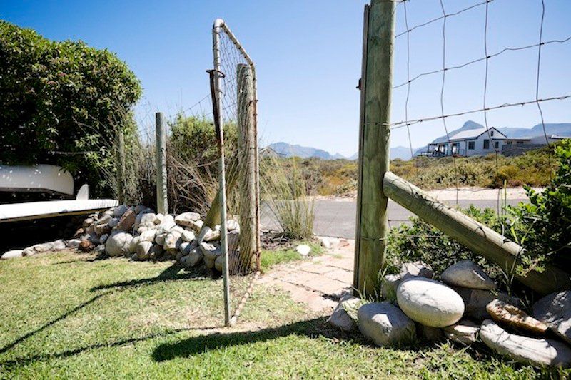 Sea Breeze Kommetjie Cape Town Western Cape South Africa Complementary Colors, Cactus, Plant, Nature