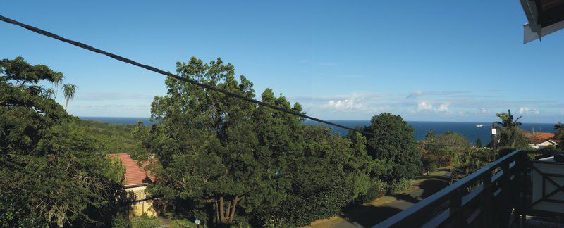 Sea Cove Lodge Blythedale Beach Kwazulu Natal South Africa Tree, Plant, Nature, Wood