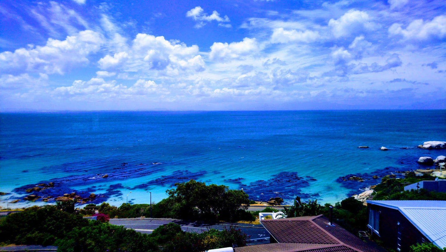 Sea Forever Murdoch Valley Cape Town Western Cape South Africa Colorful, Beach, Nature, Sand, Palm Tree, Plant, Wood, Ocean, Waters