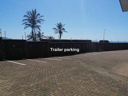 Seagull 403 Margate Beach Margate Kwazulu Natal South Africa Palm Tree, Plant, Nature, Wood, Sign