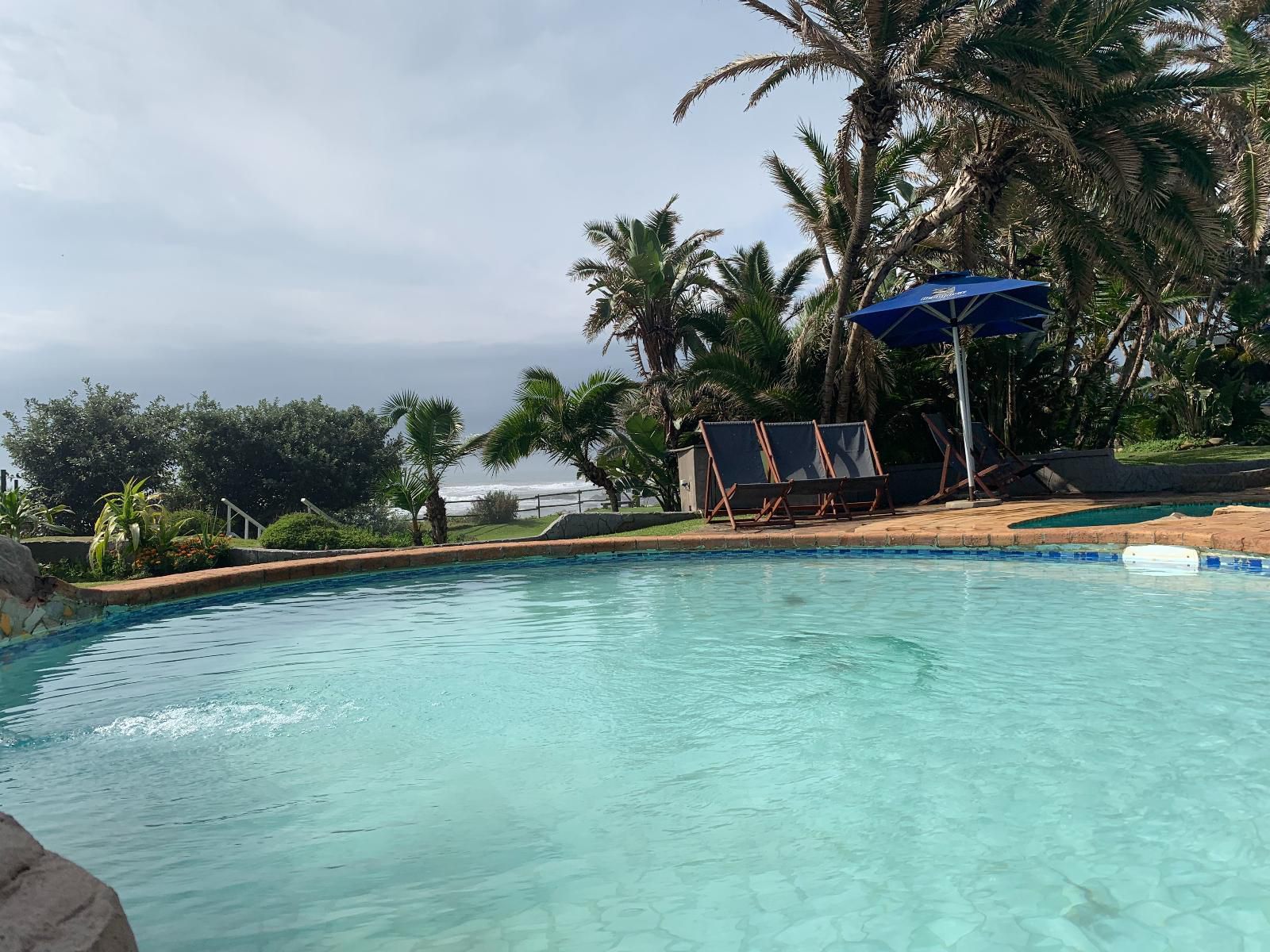 Seagulls Hotel Seagulls Eastern Cape South Africa Beach, Nature, Sand, Palm Tree, Plant, Wood, Swimming Pool