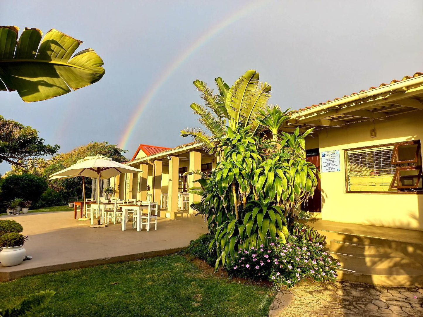 Seagulls Hotel Seagulls Eastern Cape South Africa House, Building, Architecture, Palm Tree, Plant, Nature, Wood, Rainbow