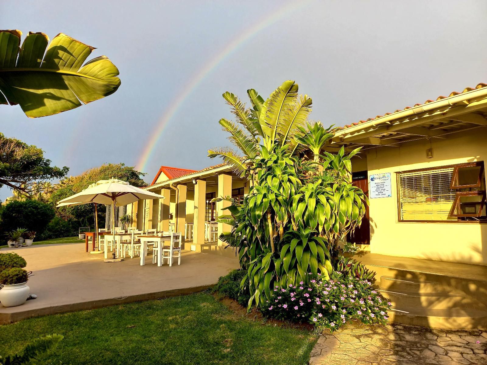 Seagulls Hotel Seagulls Eastern Cape South Africa House, Building, Architecture, Palm Tree, Plant, Nature, Wood, Rainbow