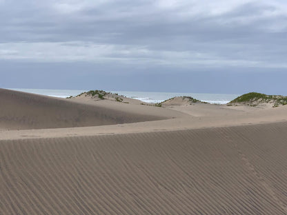 Seagulls Hotel Seagulls Eastern Cape South Africa Beach, Nature, Sand, Desert