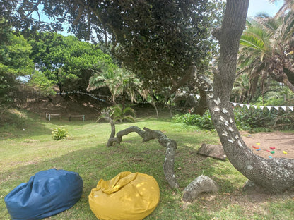 Seagulls Hotel Seagulls Eastern Cape South Africa Palm Tree, Plant, Nature, Wood, Reptile, Animal, Tree