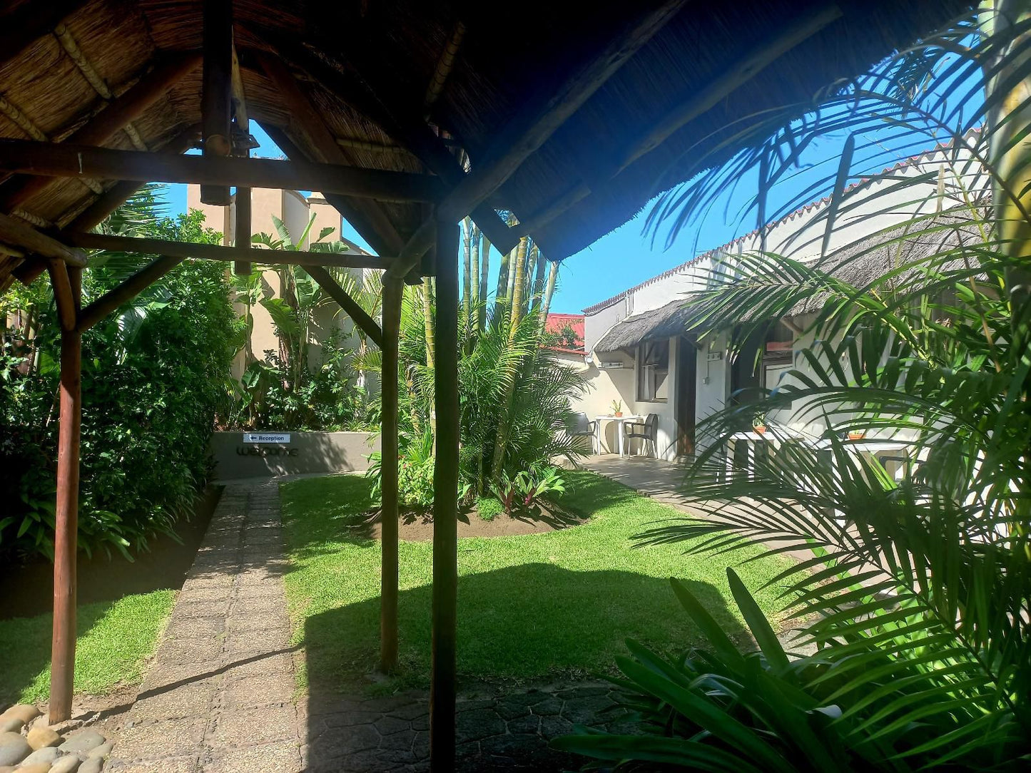 Seagulls Hotel Seagulls Eastern Cape South Africa House, Building, Architecture, Palm Tree, Plant, Nature, Wood