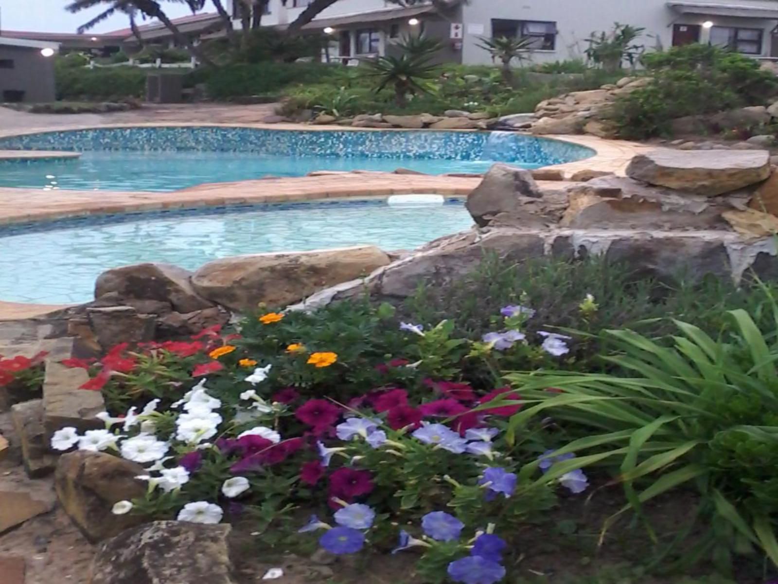 Seagulls Hotel Seagulls Eastern Cape South Africa Palm Tree, Plant, Nature, Wood, Garden, Swimming Pool