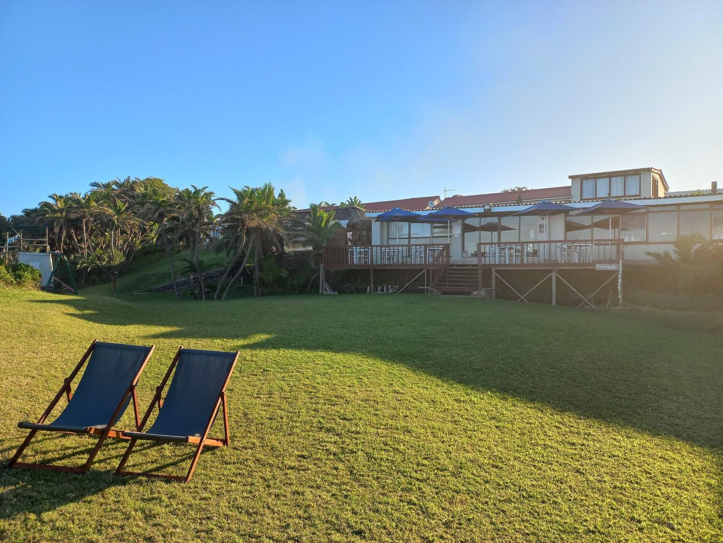 Seagulls Hotel Seagulls Eastern Cape South Africa Complementary Colors, Palm Tree, Plant, Nature, Wood