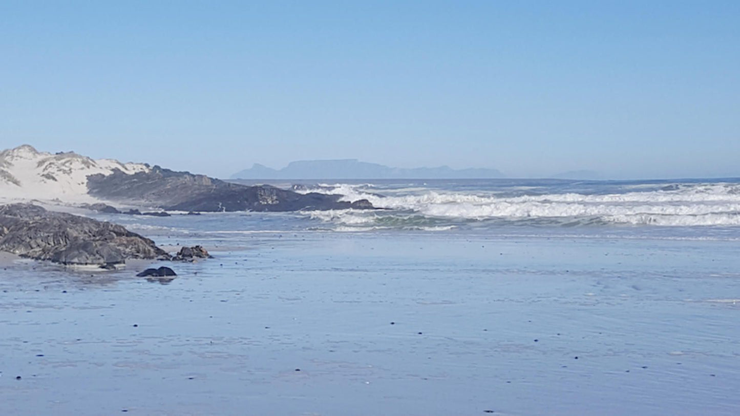 Seagulls Place Grotto Bay Western Cape South Africa Beach, Nature, Sand, Ocean, Waters