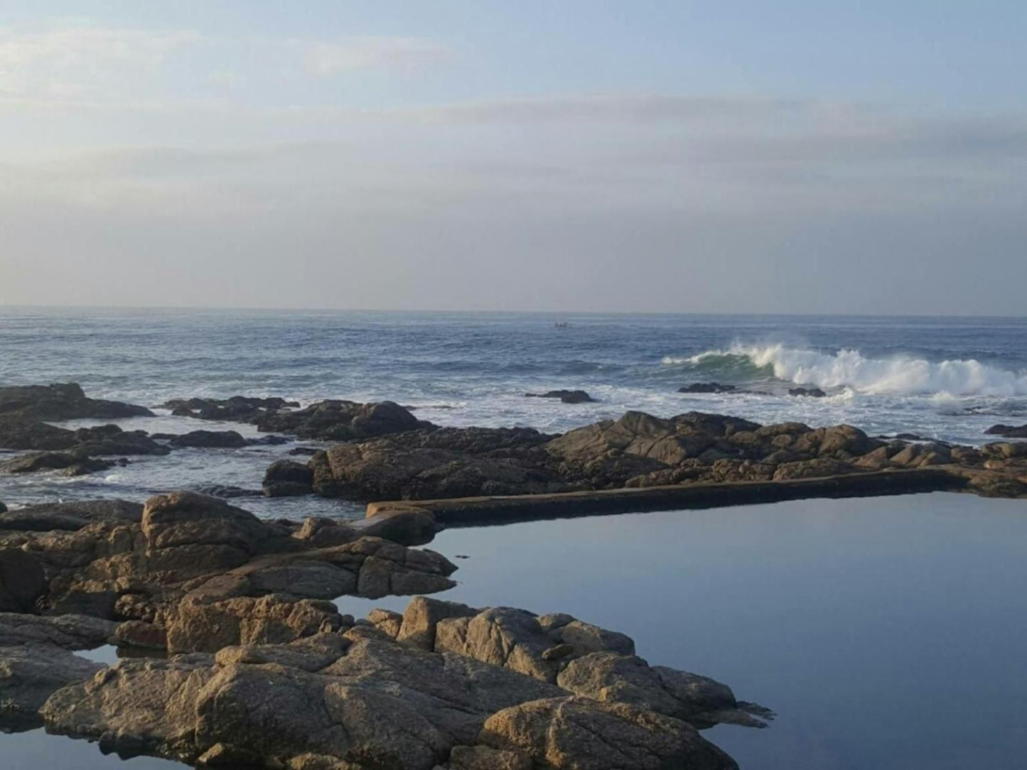 Seagulls Anerley Kwazulu Natal South Africa Beach, Nature, Sand, Cliff, Wave, Waters, Ocean