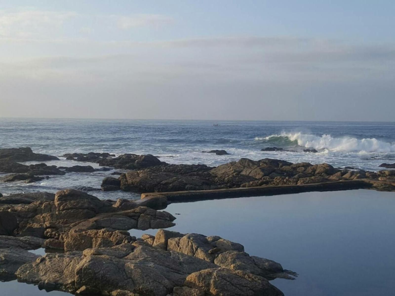 Seagulls Anerley Kwazulu Natal South Africa Beach, Nature, Sand, Cliff, Wave, Waters, Ocean