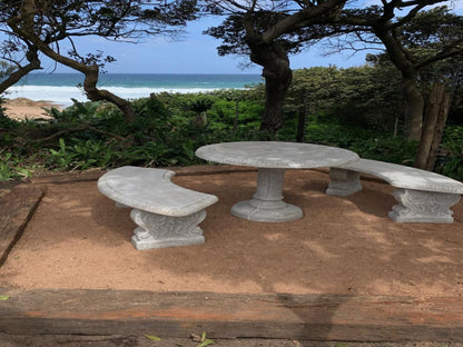 Seagulls Anerley Kwazulu Natal South Africa Beach, Nature, Sand, Framing, Garden, Plant