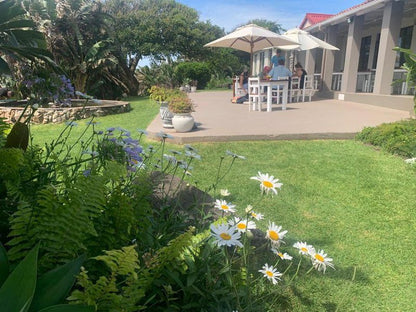 Seagulls Beach Hotel Kei Mouth Eastern Cape South Africa Palm Tree, Plant, Nature, Wood, Garden, Swimming Pool