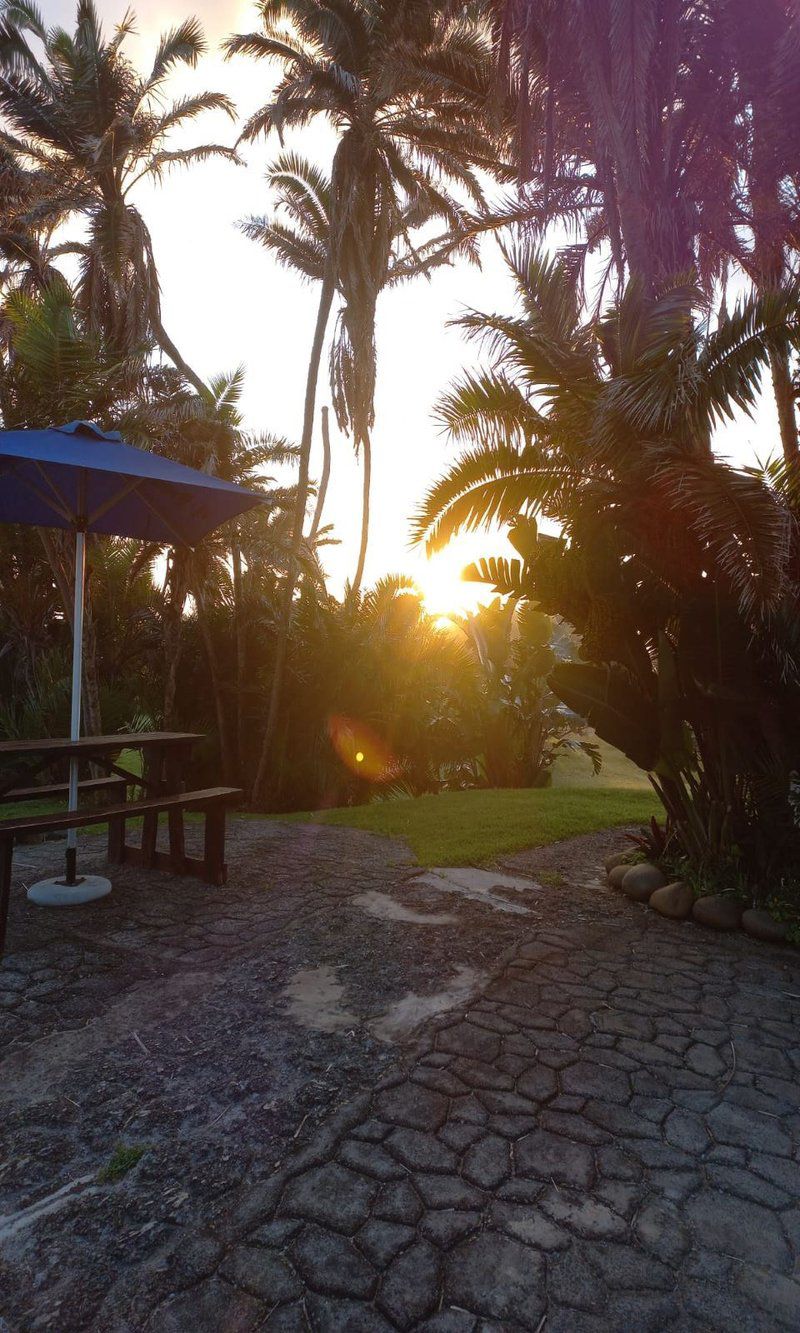 Seagulls Beach Hotel Kei Mouth Eastern Cape South Africa Beach, Nature, Sand, Palm Tree, Plant, Wood