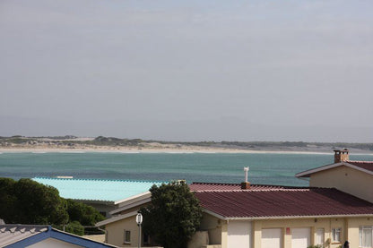 Seagulls Nest Struisbaai Western Cape South Africa Unsaturated, Beach, Nature, Sand, Palm Tree, Plant, Wood