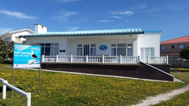 Seagulls Seasong Struisbaai Western Cape South Africa Complementary Colors, House, Building, Architecture